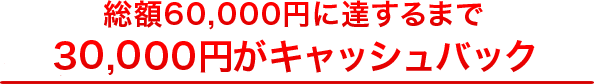 総額63,000円に達するまで31,500円/毎年がキャッシュバック